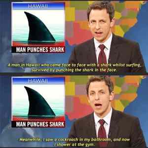 Obrázek 'Man punches shark'