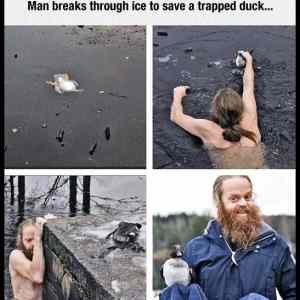 Obrázek 'Man saves duck'
