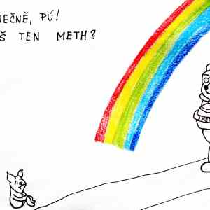 Obrázek 'Martinovy smrky METH'
