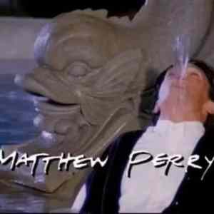 Obrázek 'Matthew Perry'
