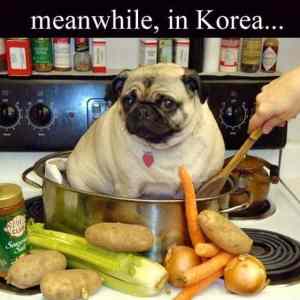 Obrázek 'Meanwhile in Korea'