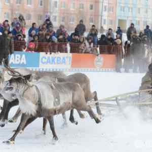 Obrázek 'Meanwhile in Russia'