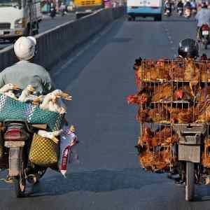 Obrázek 'Meanwhile in Vietnam 12-01-2012'