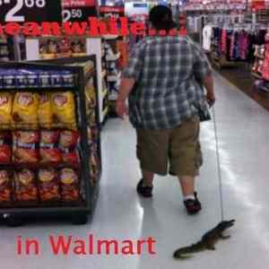 Obrázek 'Meanwhile in Walmart - 15-06-2012'