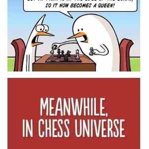 Obrázek 'Meanwhile in chess universe '