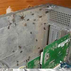 Obrázek 'Meanwhile inside your computer'