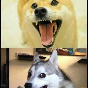 Obrázek 'Meat&nbsp;People99'