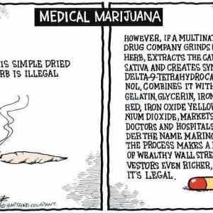 Obrázek 'Medical Marijuana 10-03-2012'