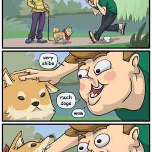 Obrázek 'Meet with doge'