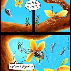 Obrázek 'Metamorph-Assist'