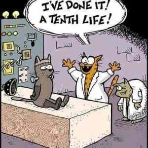 Obrázek 'Mici Frankenstein'