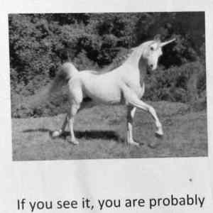 Obrázek 'Missing Unicorn'