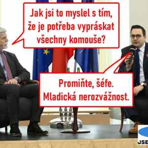 Obrázek 'Mladicka nerozvaznost'