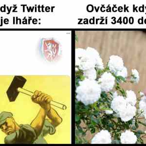 Obrázek 'Mluvcacek be like'