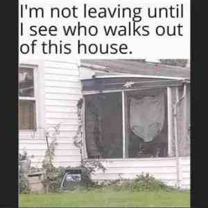 Obrázek 'Modusovka&nbsp;prala&nbsp;tanga'