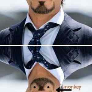 Obrázek 'Monkey - 17-05-2012'
