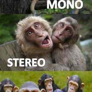 Obrázek 'Mono-Stereo and 17-02-2012'