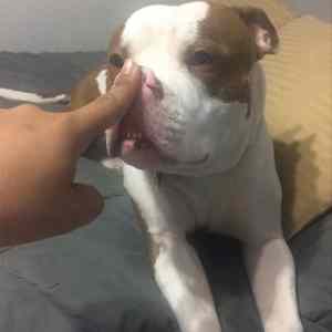 Obrázek 'Monster8546'