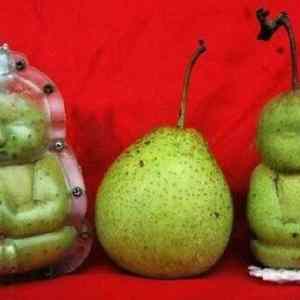 Obrázek 'Mother Natures Freaky Creations1'