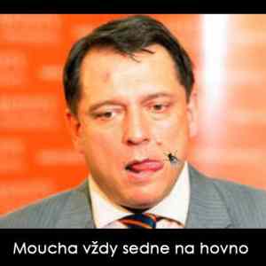Obrázek 'Moucha-hovno'