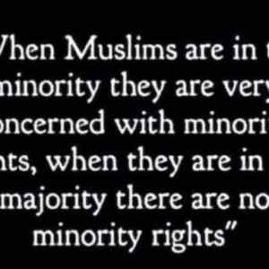 Obrázek 'Muslim&nbsp;Majority-Minority&nbsp;Rights'