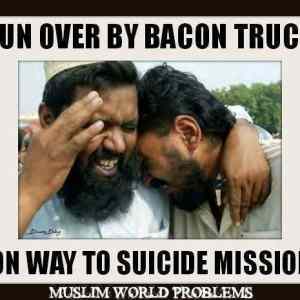 Obrázek 'Muslim world problem'