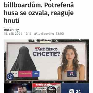 Obrázek 'Muslimove si stezuji'