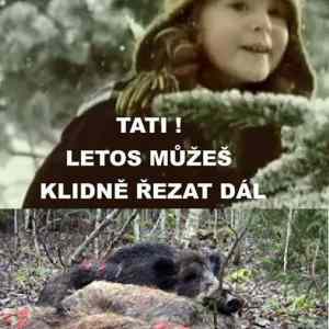 Obrázek 'Muzes rezat dal tati'