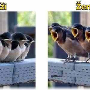 Obrázek 'Muzi - Zeny - 24-04-2012'