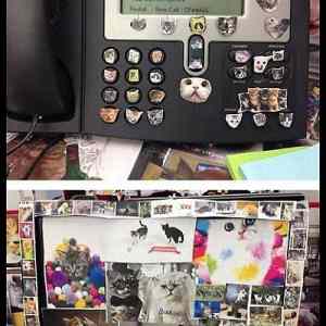 Obrázek 'MyCo-worker'