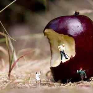 Obrázek 'Mysterious Little People Spotted Again2'
