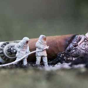 Obrázek 'Mysterious Little People Spotted Again3'