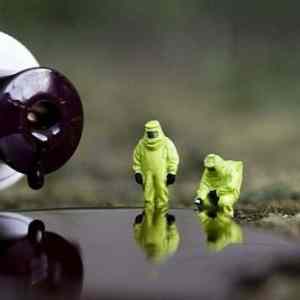 Obrázek 'Mysterious Little People Spotted Again7'