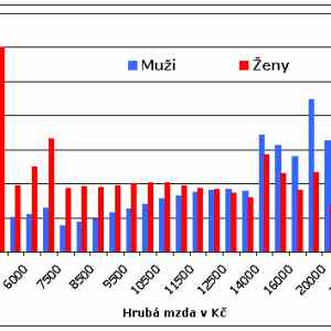 Obrázek 'Mzdy-CR-2002'
