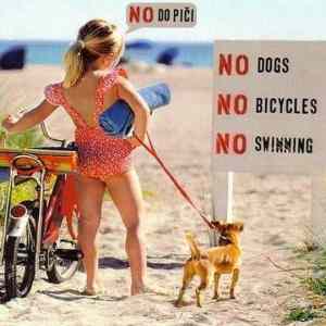 Obrázek 'NO&nbsp;do&nbsp;pici'