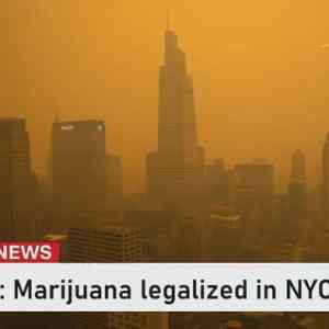 Obrázek 'NY legalizovalo koureni marihuany'