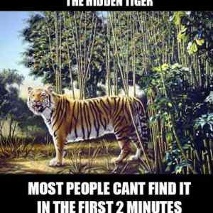 Obrázek 'Najdi tygra'