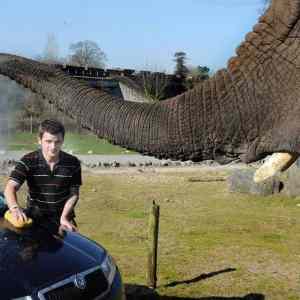 Obrázek 'NaturalCarWash'