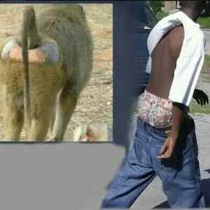 Obrázek 'Nature988O'