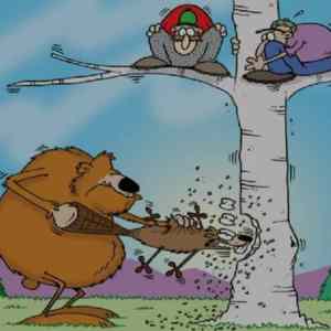 Obrázek 'NatureFightsBack'
