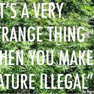 Obrázek 'Nature Illegal'