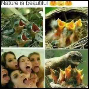 Obrázek 'Nature Is Beautiful9Z6T'