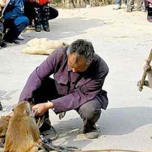 Obrázek 'Naval&nbsp;prachy'