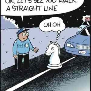 Obrázek 'Neigh'