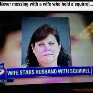 Obrázek 'Never&nbsp;Mess&nbsp;With'