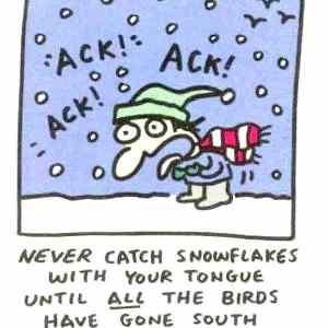 Obrázek 'Never catch 20-12-2011'