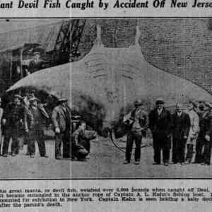 Obrázek 'New Jersey 1933 - 2.2 tons of fish caught on an anchor'