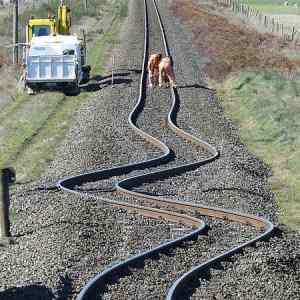 Obrázek 'New Zeland railroad'