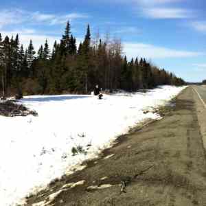 Obrázek 'Newfoundland rest stop 03-04-2012'