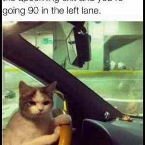 Obrázek 'Next&nbsp;Exit&nbsp;Pleasee'